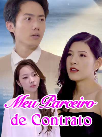 Meu Parceiro de Contrato