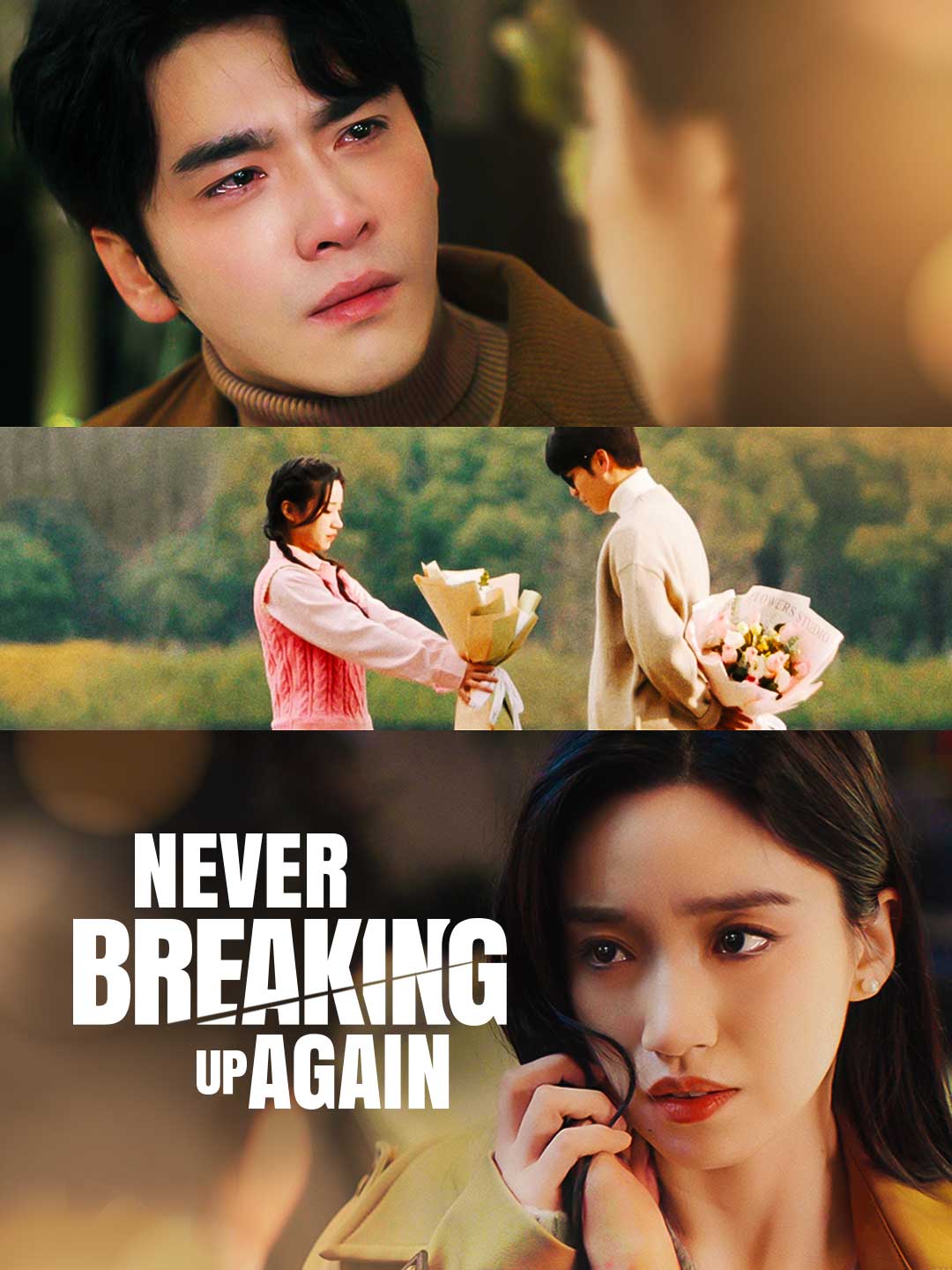 Never Breaking Up Again